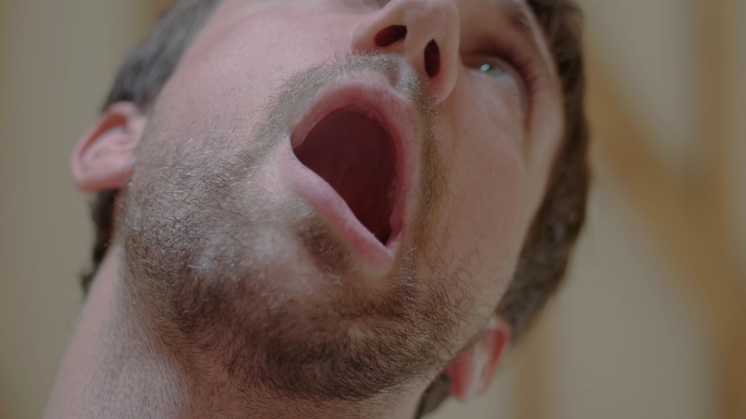 Léo Gras